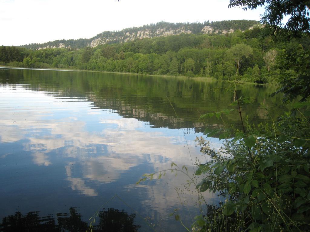 Auberge Du Herisson La Chaux-du-Dombief Exteriör bild